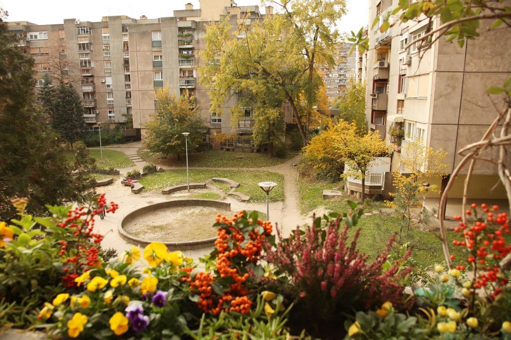 Apartment Spacious Liman Novi Sad Extérieur photo