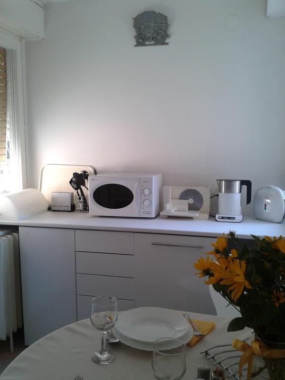 Apartment Spacious Liman Novi Sad Extérieur photo